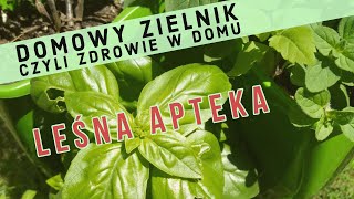 Wiosenny Mini Zielnik