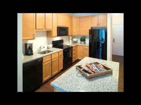 Paramount Apartments for Rent