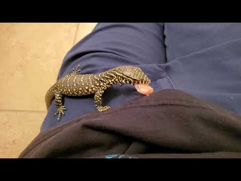 baby nile monitor feeding.