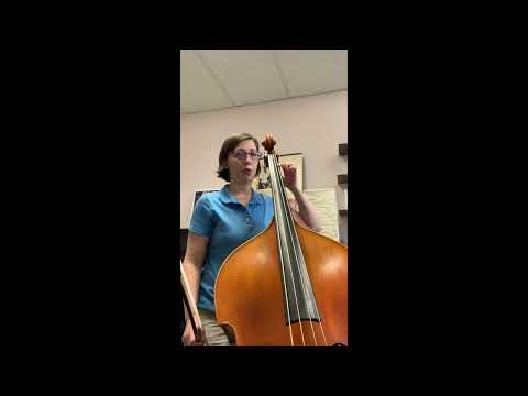 NVYO Symphony bass audition tips - Dr. Simona Barbu