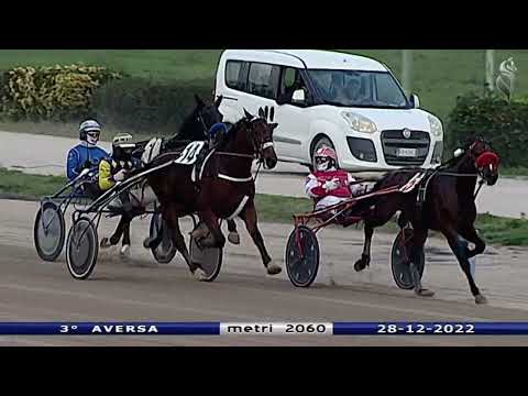 Aversa trotto 28 Dicembre 2022 - 3° Corsa