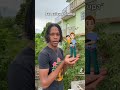 JAMAICAN SLANG SHORTS JAMAICA JAPARADISE