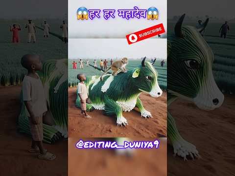 ▶️🙏har har mahadev🙏 ‼️CWO TRENDING‼️ #shorts #ytshorts #cwo #monkey #trending #flyxo #viral