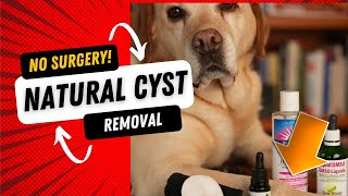 How To Get Rid of a Dog Cyst Naturally