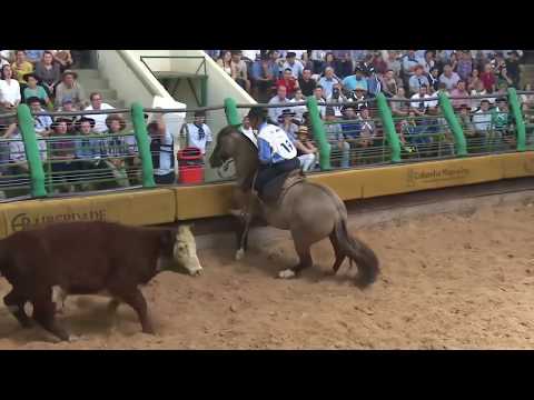 Freio de Ouro 2016 Farrera de Los Campos Prova de Mangueira e Paleteada