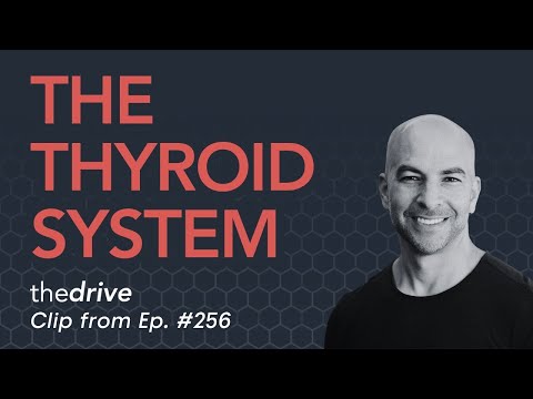 The thyroid system: how it works, common problems, hypothyroidism, T3, T4, TSH, & more | Peter Attia