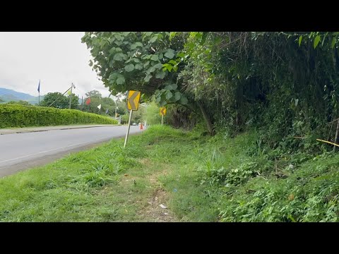 Boletín Informativo Caicedonia Valle I Febrero 17 del 2026