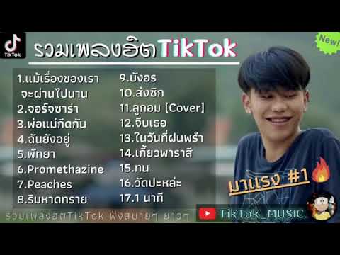 รวมเพลงฮิตในtiktok/เเม้เรื่องของเราจะผ่านไปนาน/จอร์จซาร่า/พ่อเเม่กีดกัน/ฉันยังอยผู้
