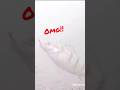 Video Thumbnail for Perch #shorts #short  #fypシ #fypシ゚viral