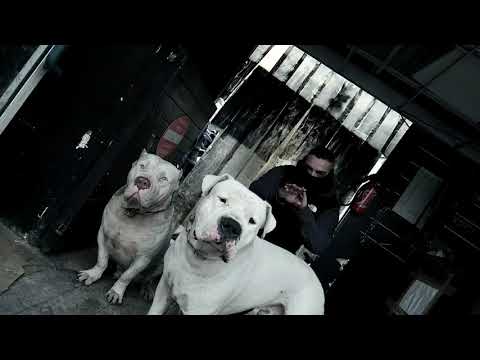 Mehloss - Mauvais Présage - (Clip)