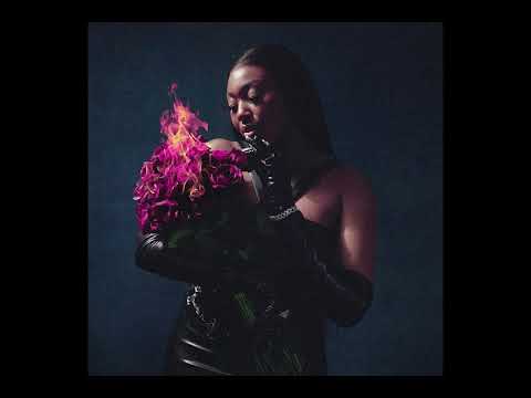 (FREE) Megan Thee Stallion Type Beat 2022 | BIA x Flo Milli Type Beat 2022 - "VINTAGE"