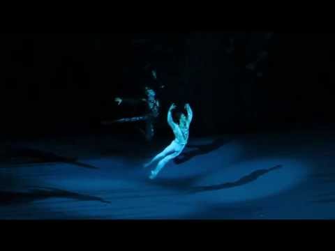 Ruslan Skvortsov / Nikolai Tsiskaridze - Swan Lake