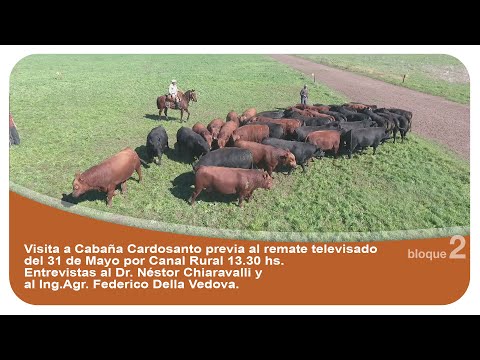 Cardosanto 2021 Néstor Chiaravalli y Federico Della Vedova