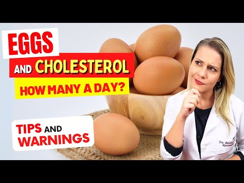HOW MANY EGGS CAN YOU EAT A DAY? Does it Raise Cholesterol? Important tips and warnings