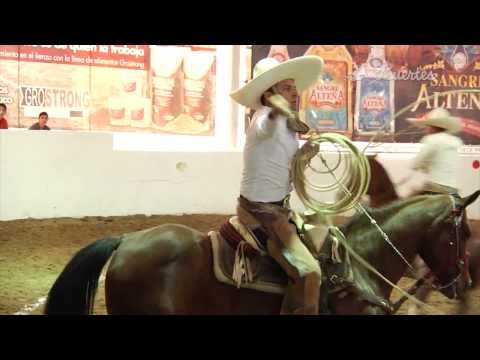 Primer Colección de Manganas a Caballo