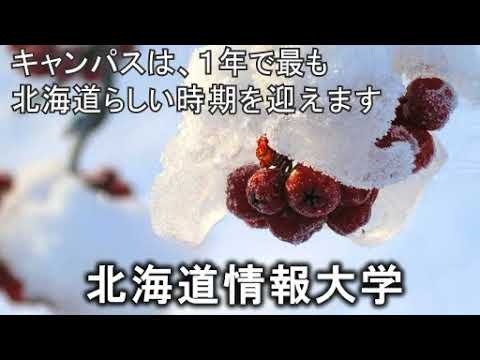 情報メディア学科 ＜2022年1月号＞HIUキャンパス便り