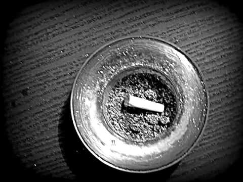 11. PodobnoNiePodobni - Gwizdek