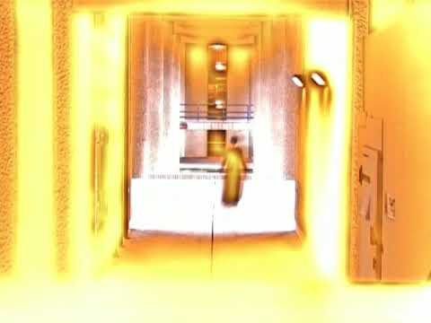 the walk