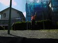 The G.O.D. Set-122 Reps (Reverse grip)