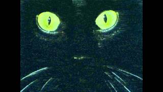 MEG - Volevo Un Gatto Nero