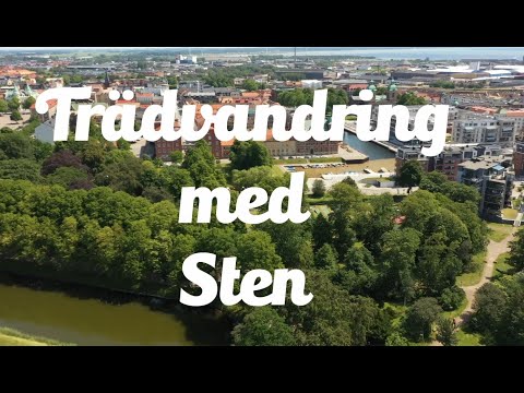 Trädvandring med Sten - avsnitt 1