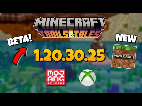 Minecraft 1.20.30.25 Beta & Preview | New Beta Version Released | All Features
