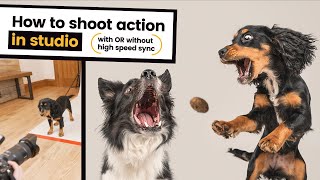 How to Photograph Action in Studio: Freeze Motion like a Treat Catching Pro