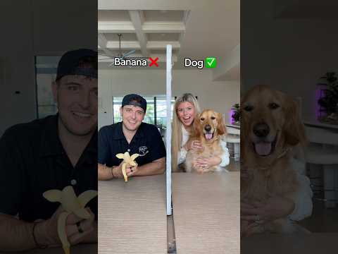 He was not expecting an ACTUAL dog 🤣🐶 #shorts #funny #challenge