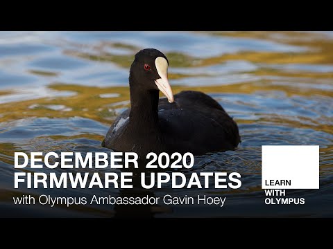 OM-D Firmware Updates with Gavin Hoey