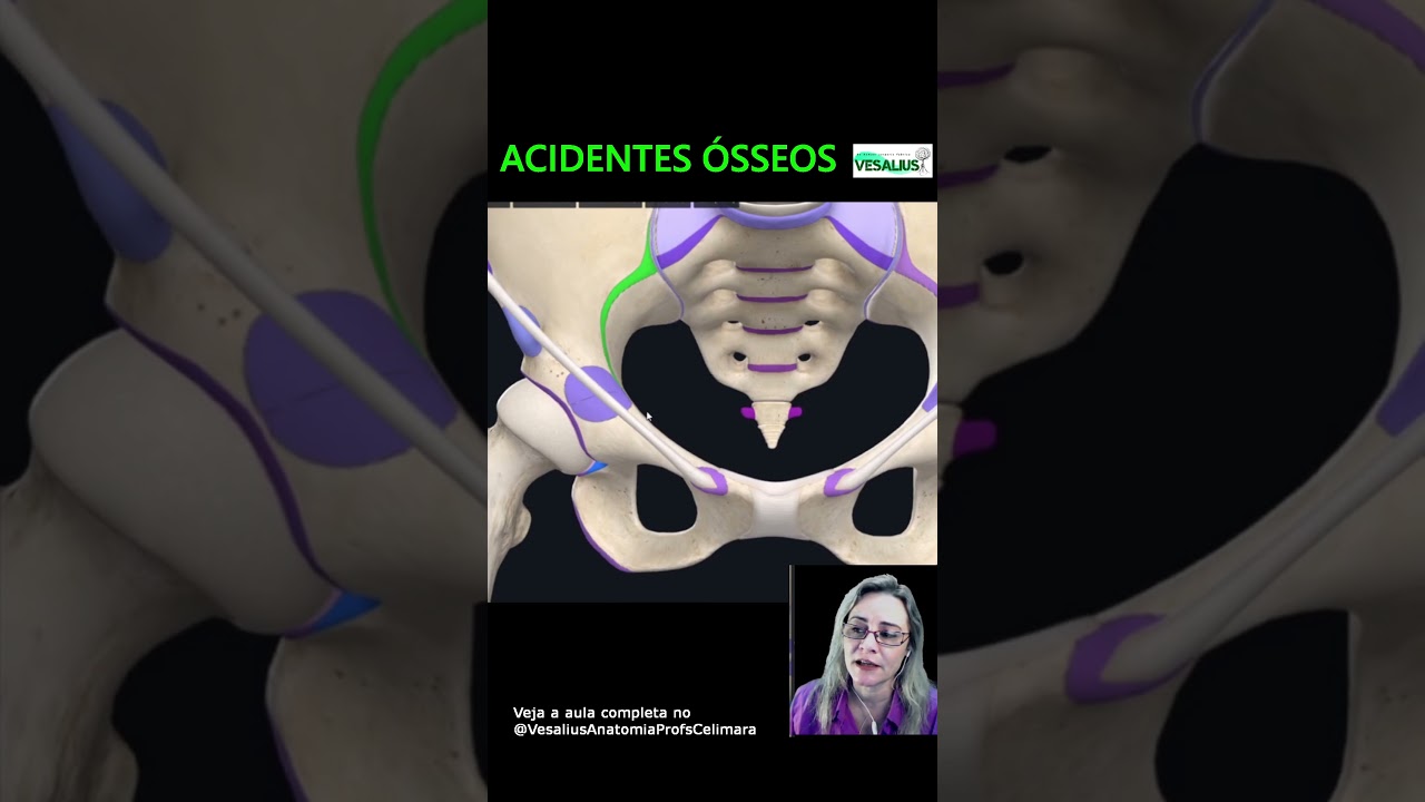 Anatomia: Acidentes ósseos da pelve 3D #medicina #anatomia #locomotor #quadril