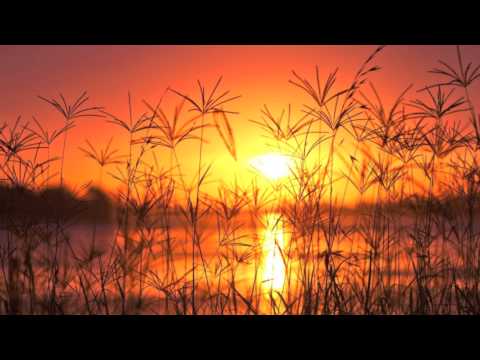 Viktor Florentz & Jimmy Ringqvist - Sommar