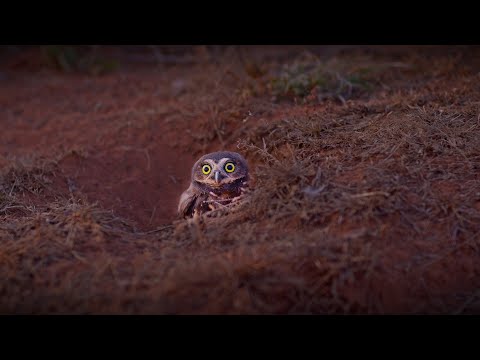 Isso Tudo É Mato Grosso | São José do Rio Claro