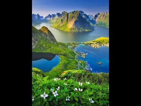 ÖMER AKDAŞ PRESENTE  ▶️🎶 ▶️🎶 DSTRT x NIVERSO   Moonlight