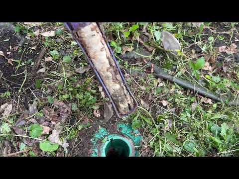 Sentricon® Station Loaded with Termites in Shrewsbury, NJ