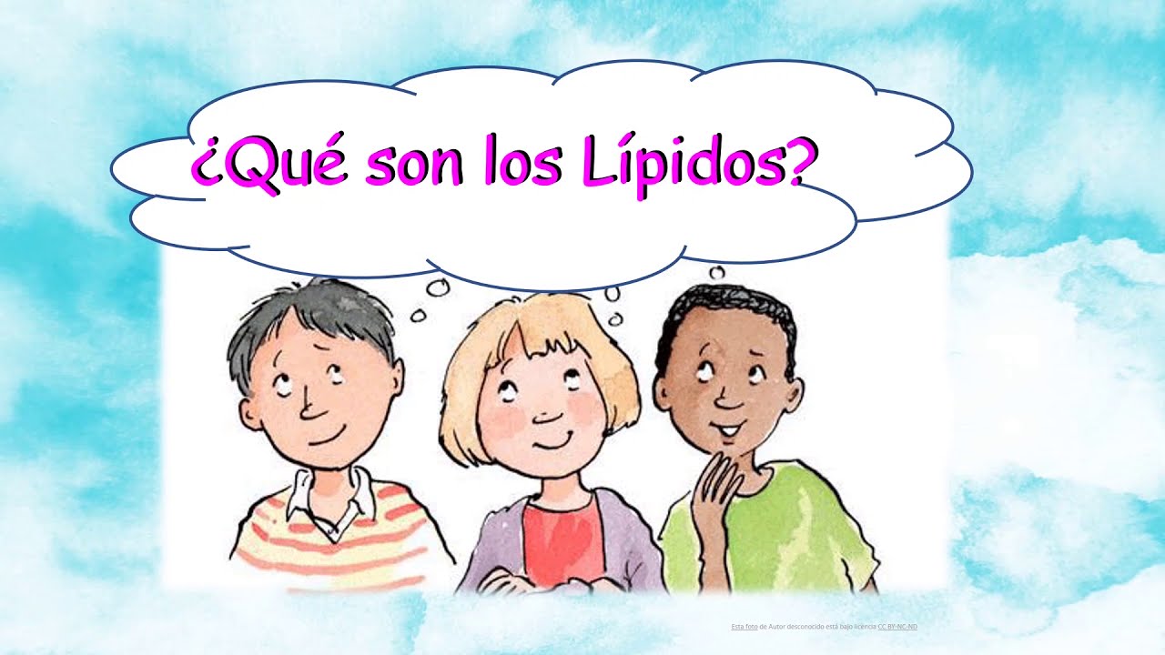¿Qué son los lípidos?