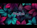 Mayileh Song Lyrics Havoc Brothers