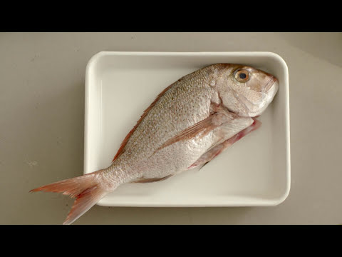 download lagu mp3 mp4 Fish In Steam Oven, download lagu Fish In Steam Oven gratis, unduh video klip Fish In Steam Oven