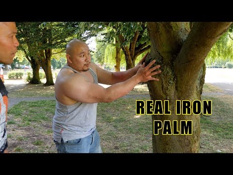 How to turn your hand into Real iron Palm part 2 - Master Wong