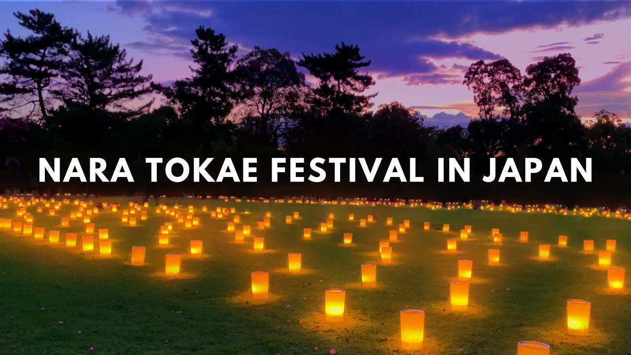 Experience the captivating Nara Tokae Lantern Festival through this video.