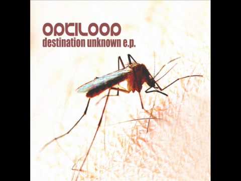 Optiloop - Destination Unknown