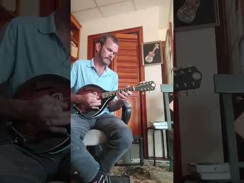 1970s Harmony Model 410 Mandolin w/ DeArmond Pick up image 12