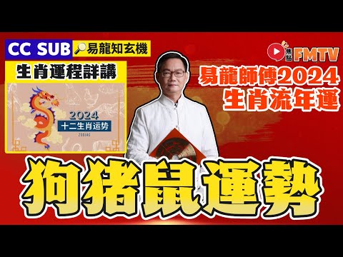 豬犯太歲2024