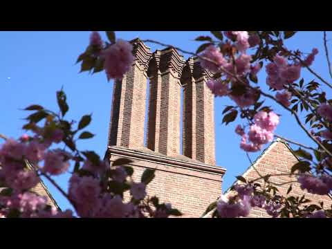 An Iconic Belmont Estate