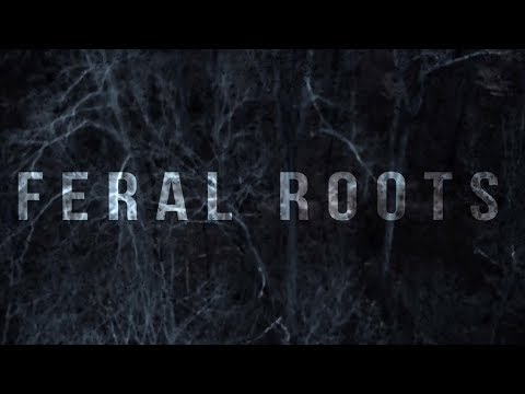 Rival Sons - Feral Roots (Official Visualizer)