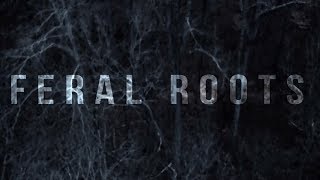 Rival Sons - Feral Roots (Official Visualizer)