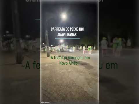 Festival do peixe boi