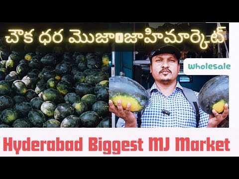 మోజా0జాహి హోల్సేల్ ఫ్రూట్స్ KG ₹4 | Exploring Hyderabad Biggest Fruit Market MozamJahi