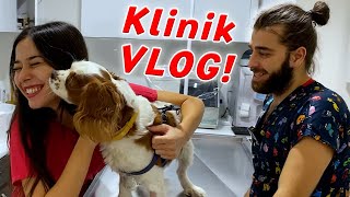 İLK VLOG GELDİ! | Veteriner Kliniğimizde Bir Günüm Nasıl Geçiyor? w/ @