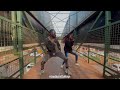 Limoblaze ft Emandiong - Desire  | Official Dance Challenge by Akena_ken and Vicky
