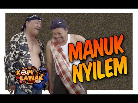 manuk-sing-iso-renang